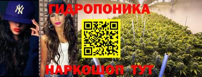2c-b Абакан