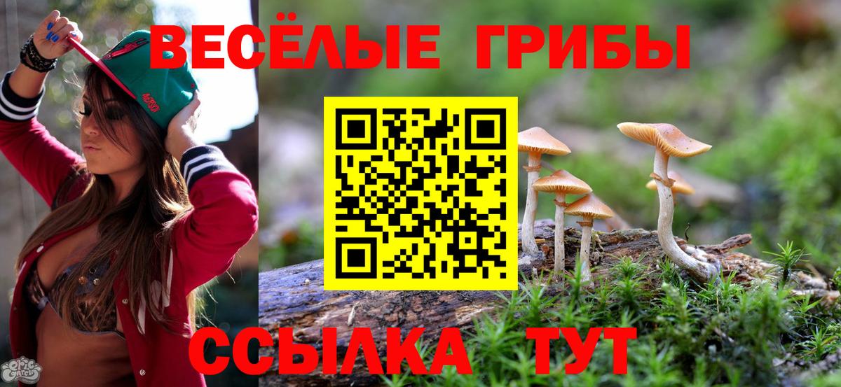 Псилоцибиновые грибы Cubensis  Вход с VPN  Алушта 